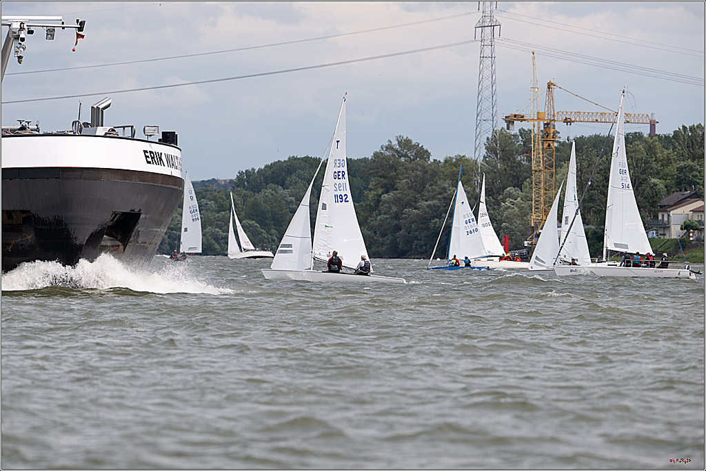 Rheinwoche 2025 1. Regattatag, 08.06.2025