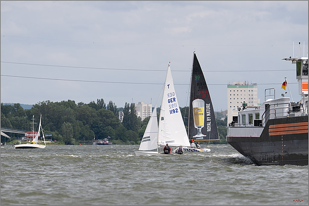 Rheinwoche 2025 1. Regattatag, 08.06.2025