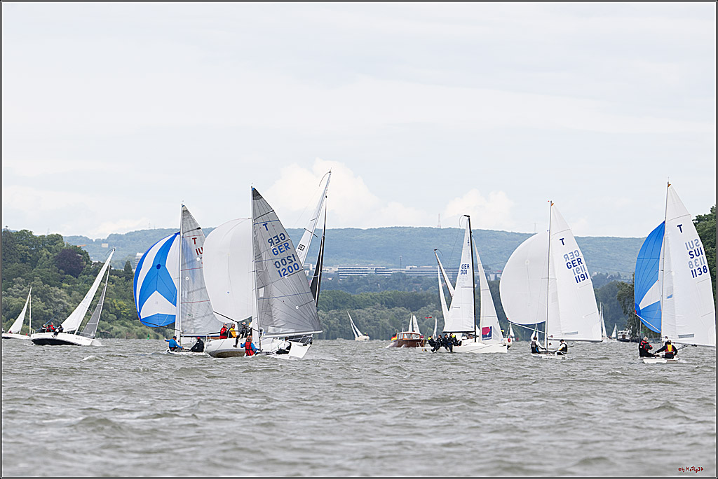 Rheinwoche 2025 1. Regattatag, 08.06.2025