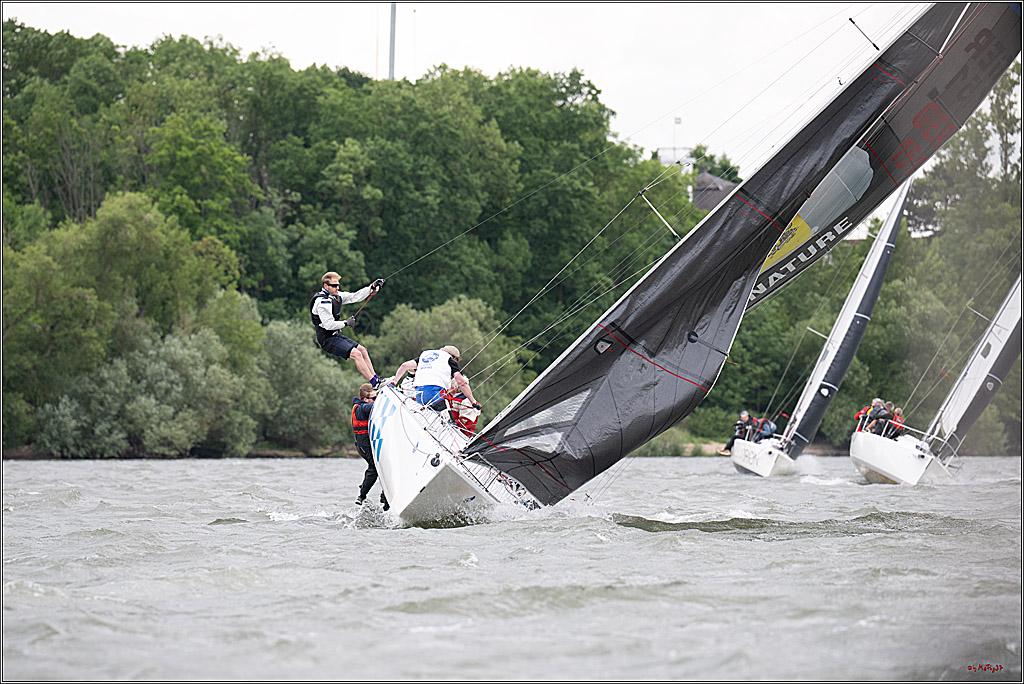Rheinwoche 2025 1. Regattatag, 08.06.2025