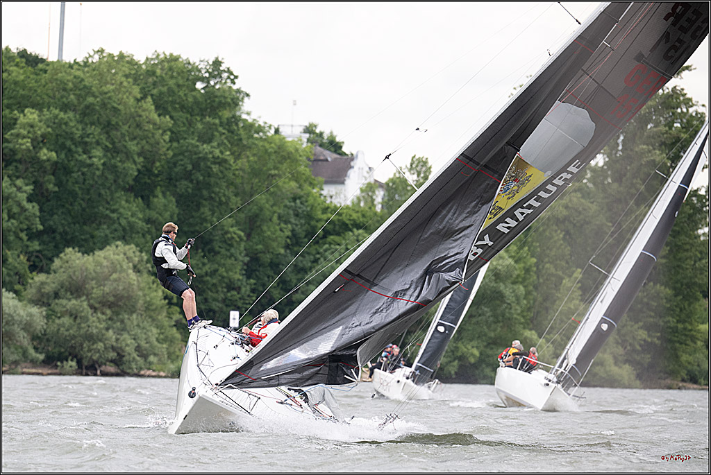Rheinwoche 2025 1. Regattatag, 08.06.2025