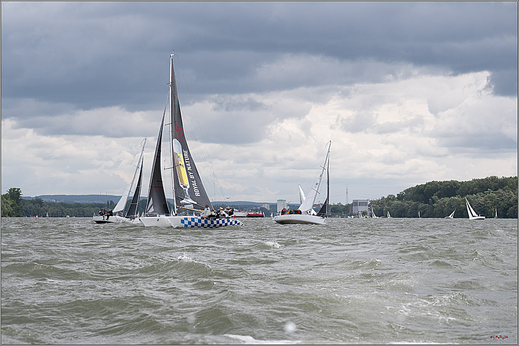 Rheinwoche 2025 1. Regattatag, 08.06.2025