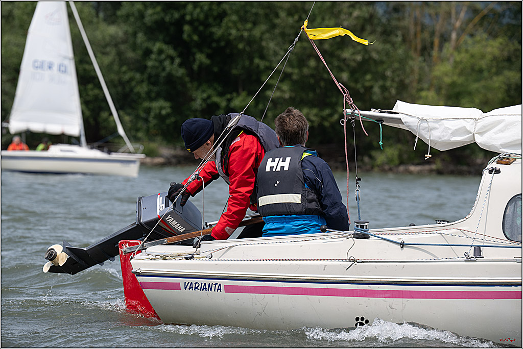 Rheinwoche 2025 1. Regattatag, 08.06.2025