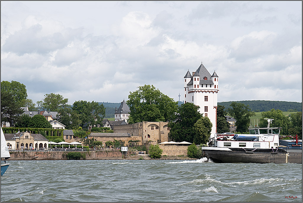 Rheinwoche 2025 1. Regattatag, 08.06.2025