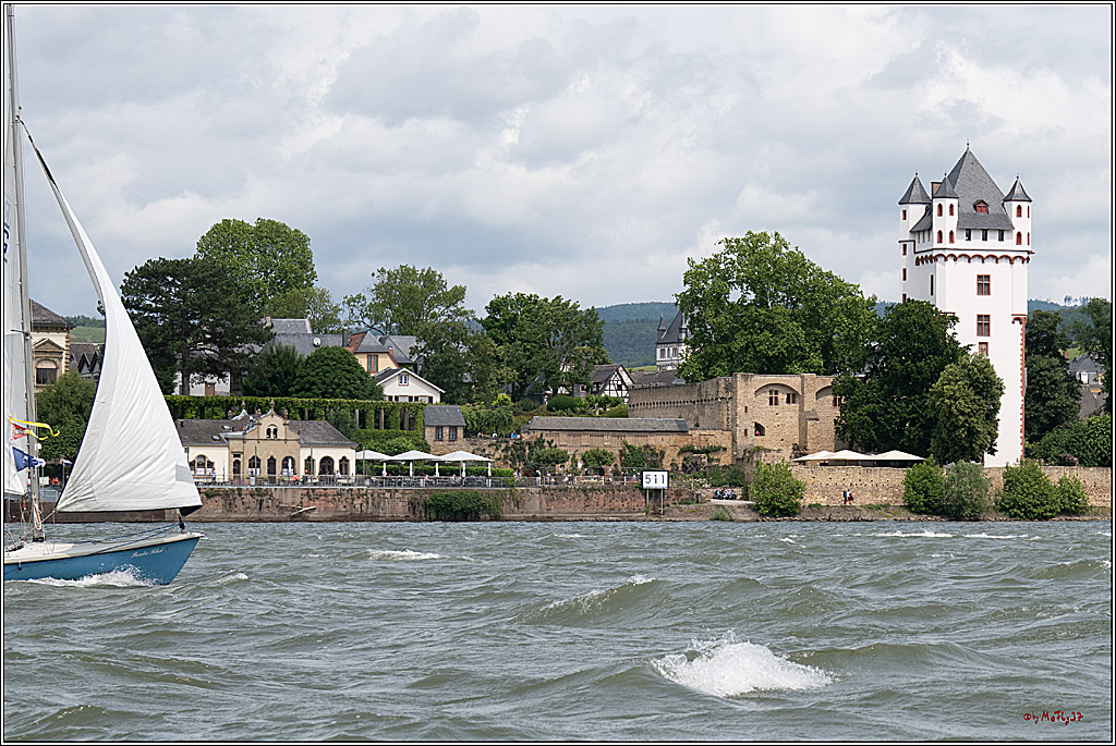 Rheinwoche 2025 1. Regattatag, 08.06.2025