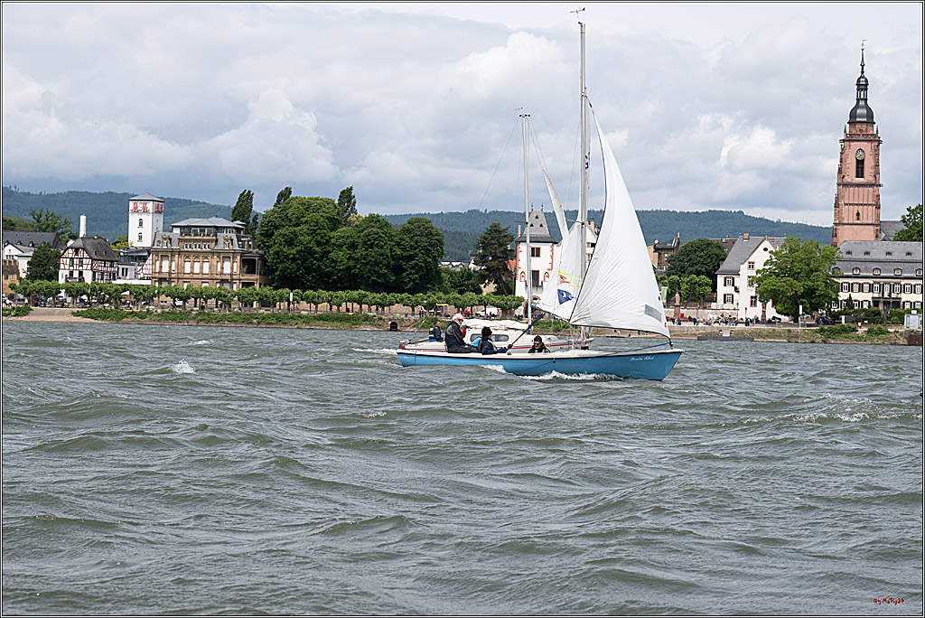 Rheinwoche 2025 1. Regattatag, 08.06.2025