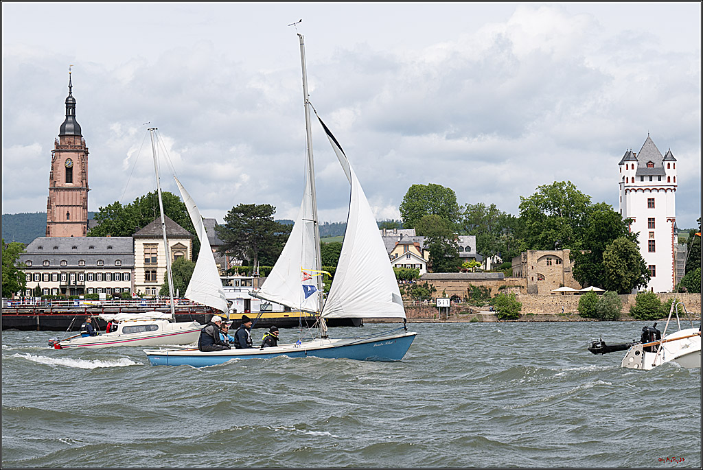 Rheinwoche 2025 1. Regattatag, 08.06.2025