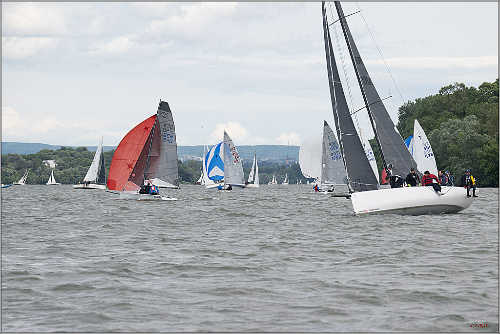 Rheinwoche 2025 1. Regattatag, 08.06.2025