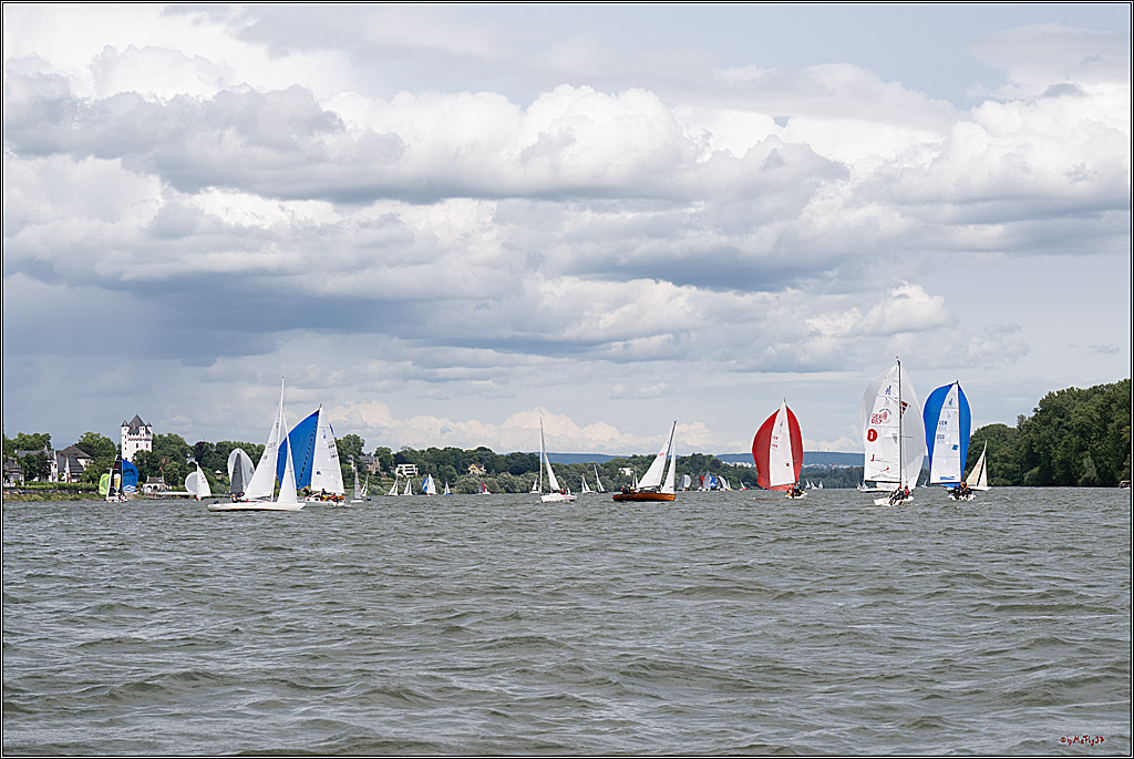 Rheinwoche 2025 1. Regattatag, 08.06.2025