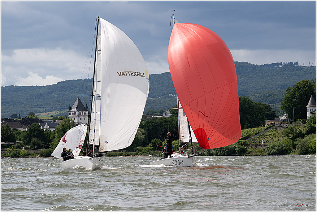 Rheinwoche 2025 1. Regattatag, 08.06.2025