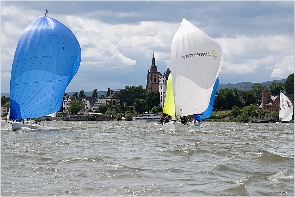 Rheinwoche 2025 1. Regattatag, 08.06.2025