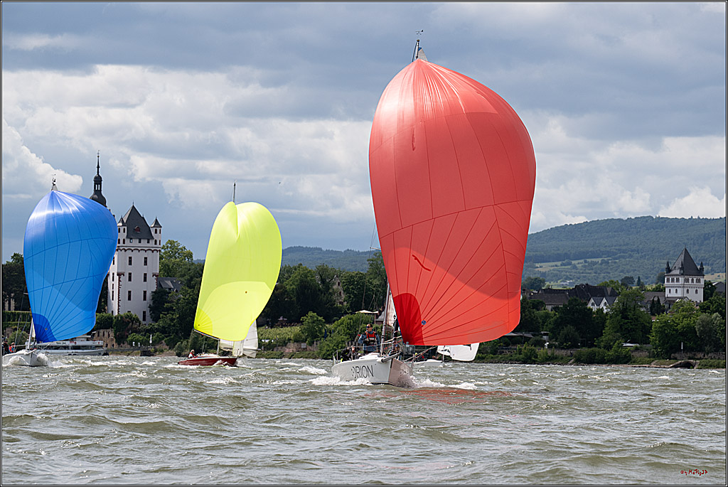 Rheinwoche 2025 1. Regattatag, 08.06.2025