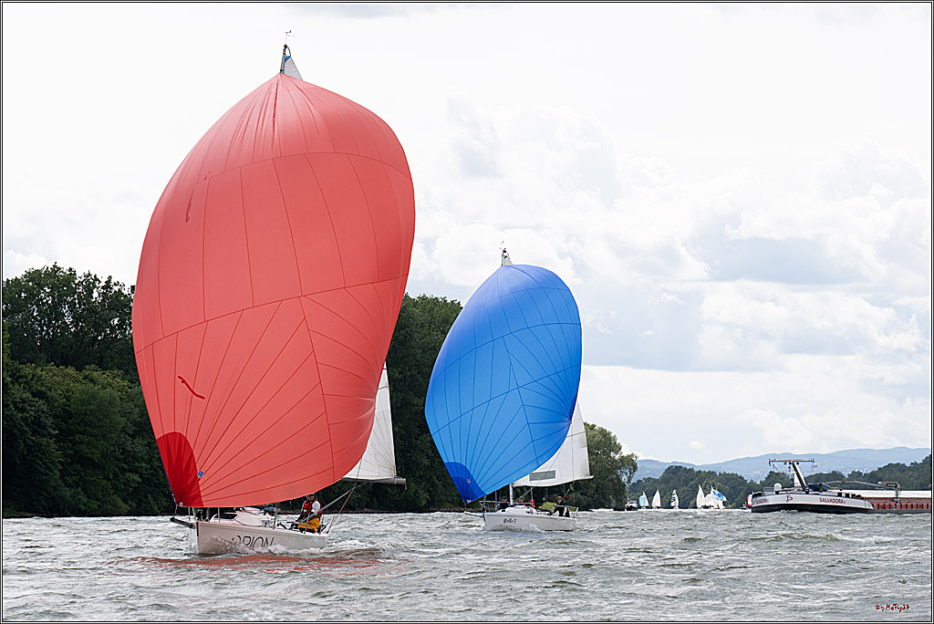 Rheinwoche 2025 1. Regattatag, 08.06.2025
