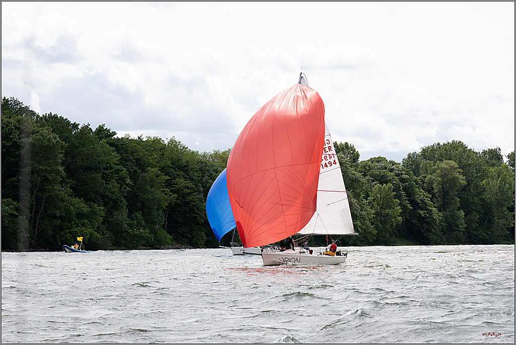 Rheinwoche 2025 1. Regattatag, 08.06.2025