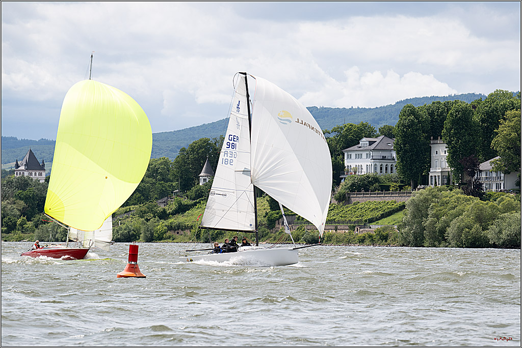 Rheinwoche 2025 1. Regattatag, 08.06.2025