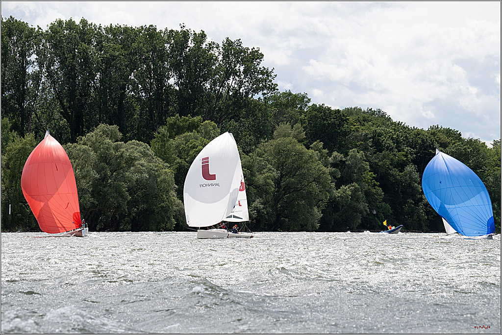 Rheinwoche 2025 1. Regattatag, 08.06.2025
