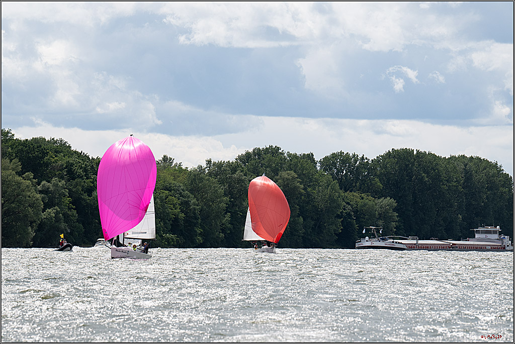 Rheinwoche 2025 1. Regattatag, 08.06.2025
