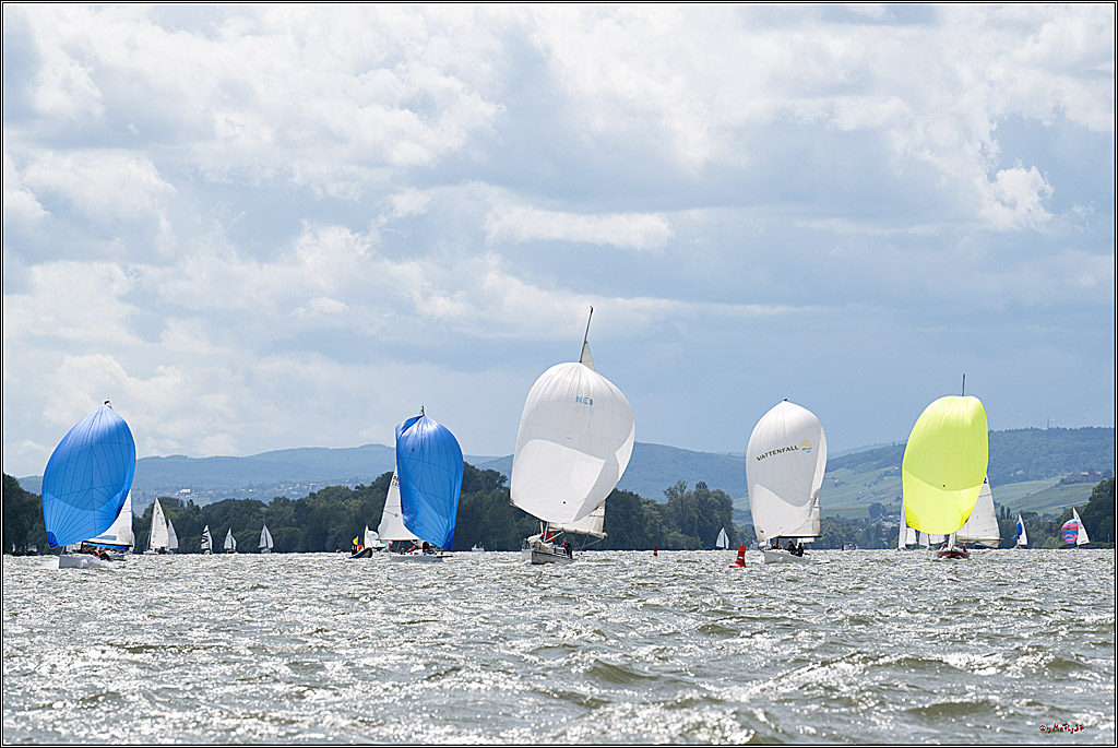 Rheinwoche 2025 1. Regattatag, 08.06.2025