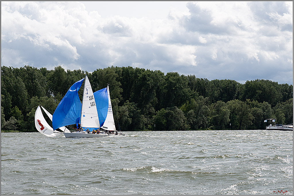 Rheinwoche 2025 1. Regattatag, 08.06.2025
