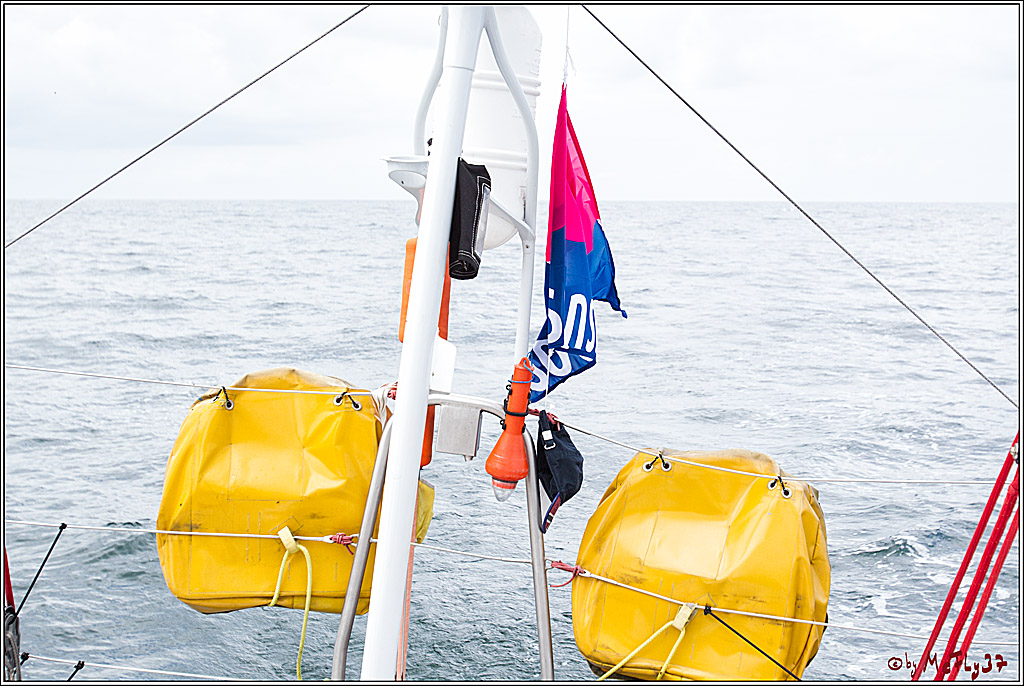 SPEEDSAILING Rostock, 08.07.2017, Segeln, Aktion, Action, Sport, Wassersport,