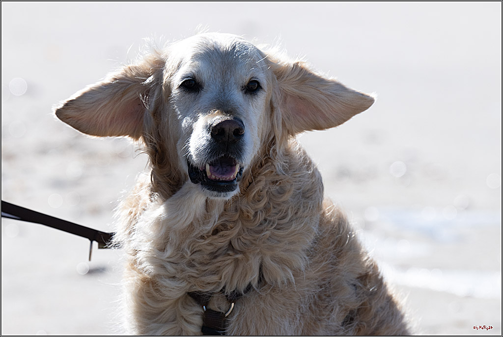 PWA 2024 - Freestyle - Man and Woman; Sylt, 03.10.2024