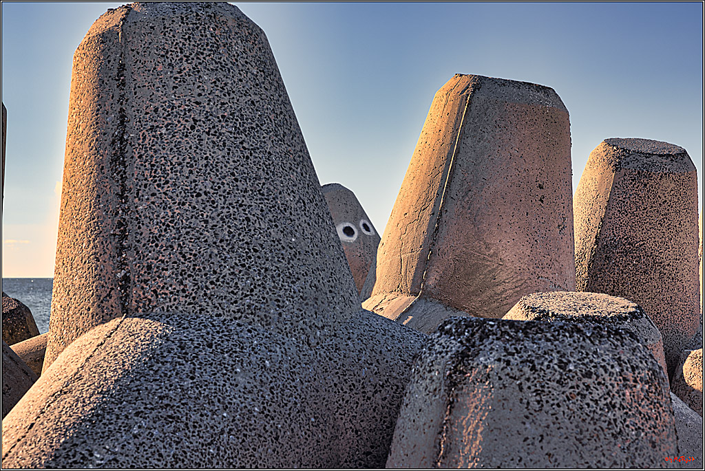 bem PWA-SurfWorldCup 2024