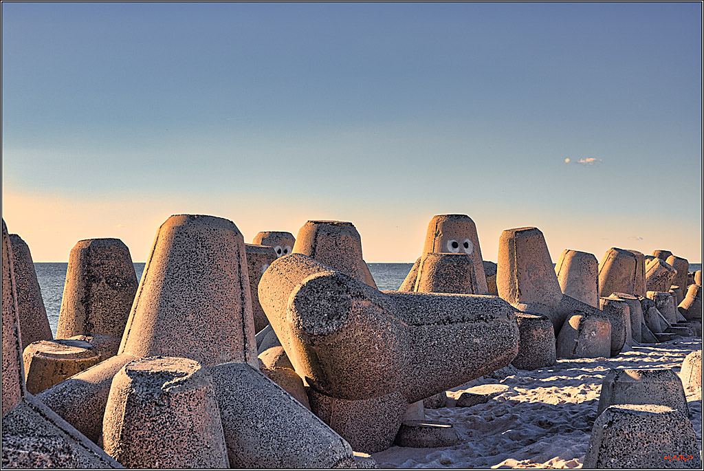 bem PWA-SurfWorldCup 2024