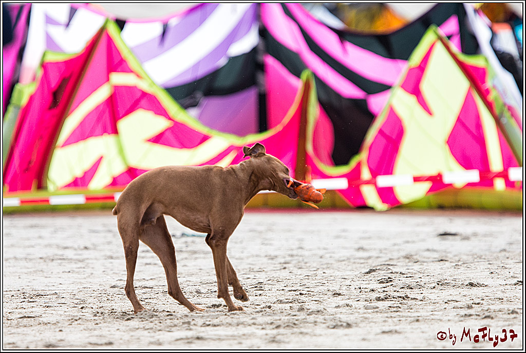 The 2017 Texel Brunotti Kiteboarding World Cup, 21.09.2017