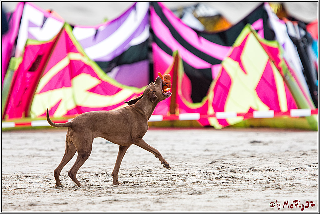 The 2017 Texel Brunotti Kiteboarding World Cup, 21.09.2017