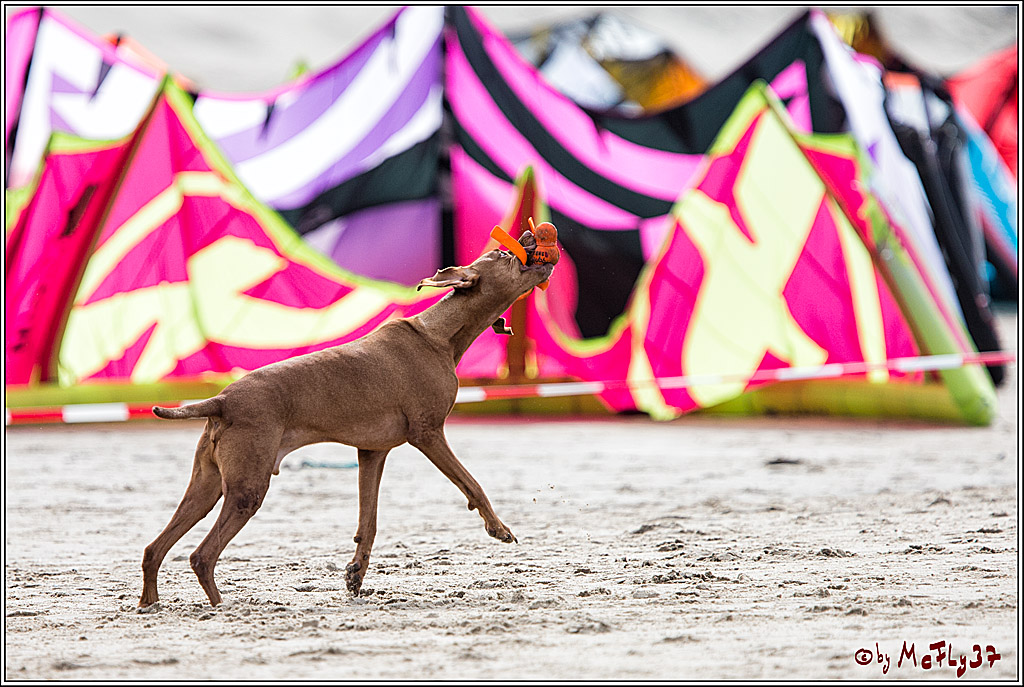 The 2017 Texel Brunotti Kiteboarding World Cup, 21.09.2017