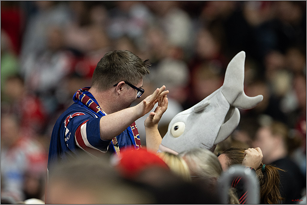 PENNY DEL 1; Kölner Haie - EHC Red Bull München; Köln, 12.09.2025