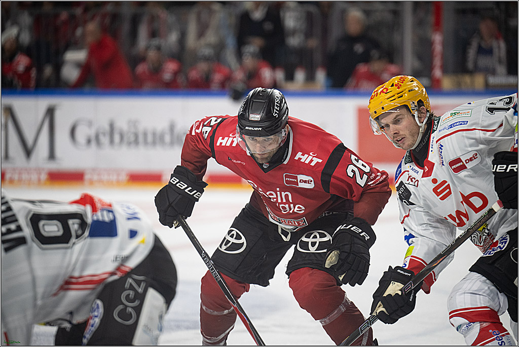 PENNY DEL 1; Koelner Haie - Fischtown Bremerhaven; Koeln, 02.10.2025