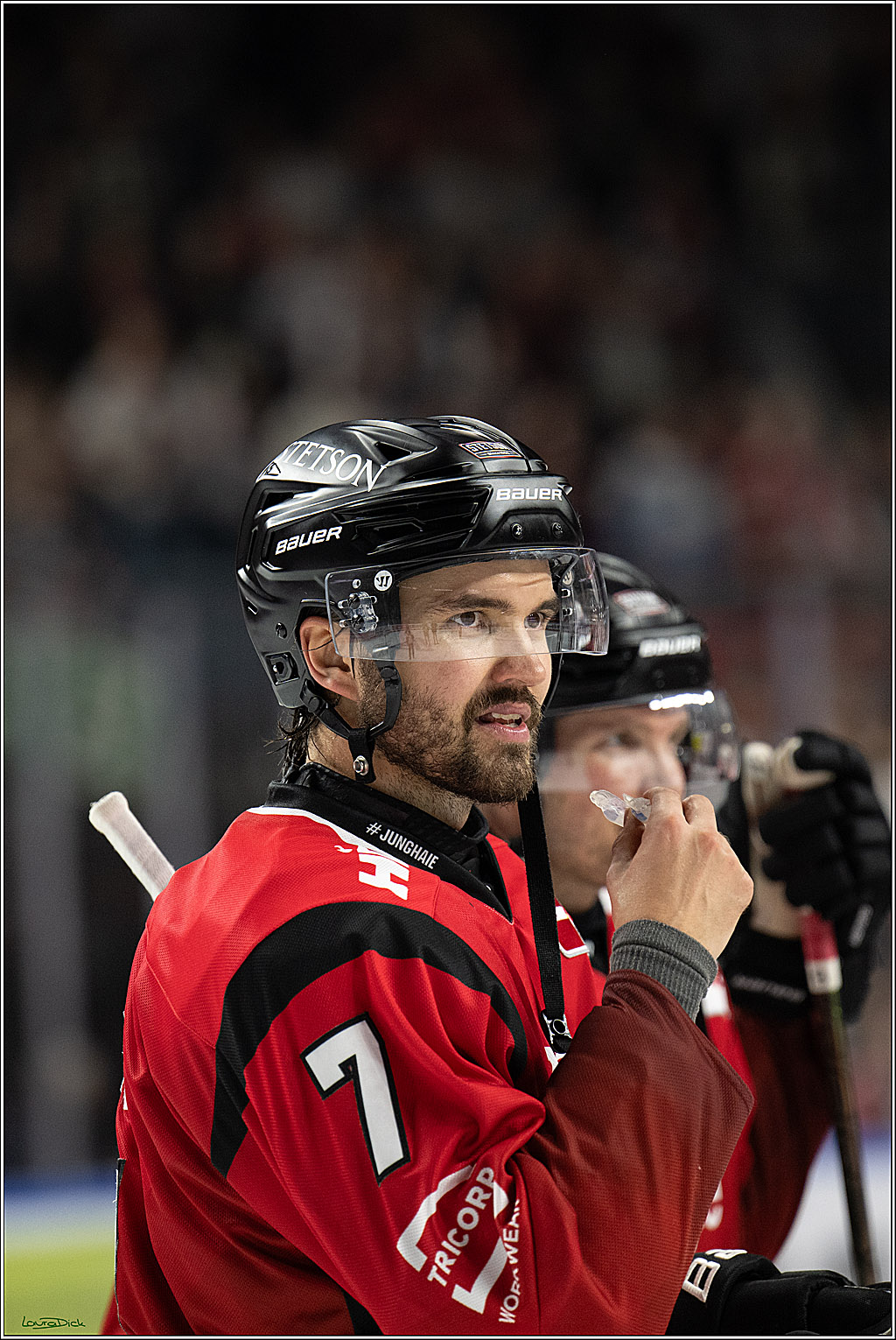 PENNY DEL 1; Koelner Haie - Fischtown Bremerhaven; Koeln, 02.10.2025