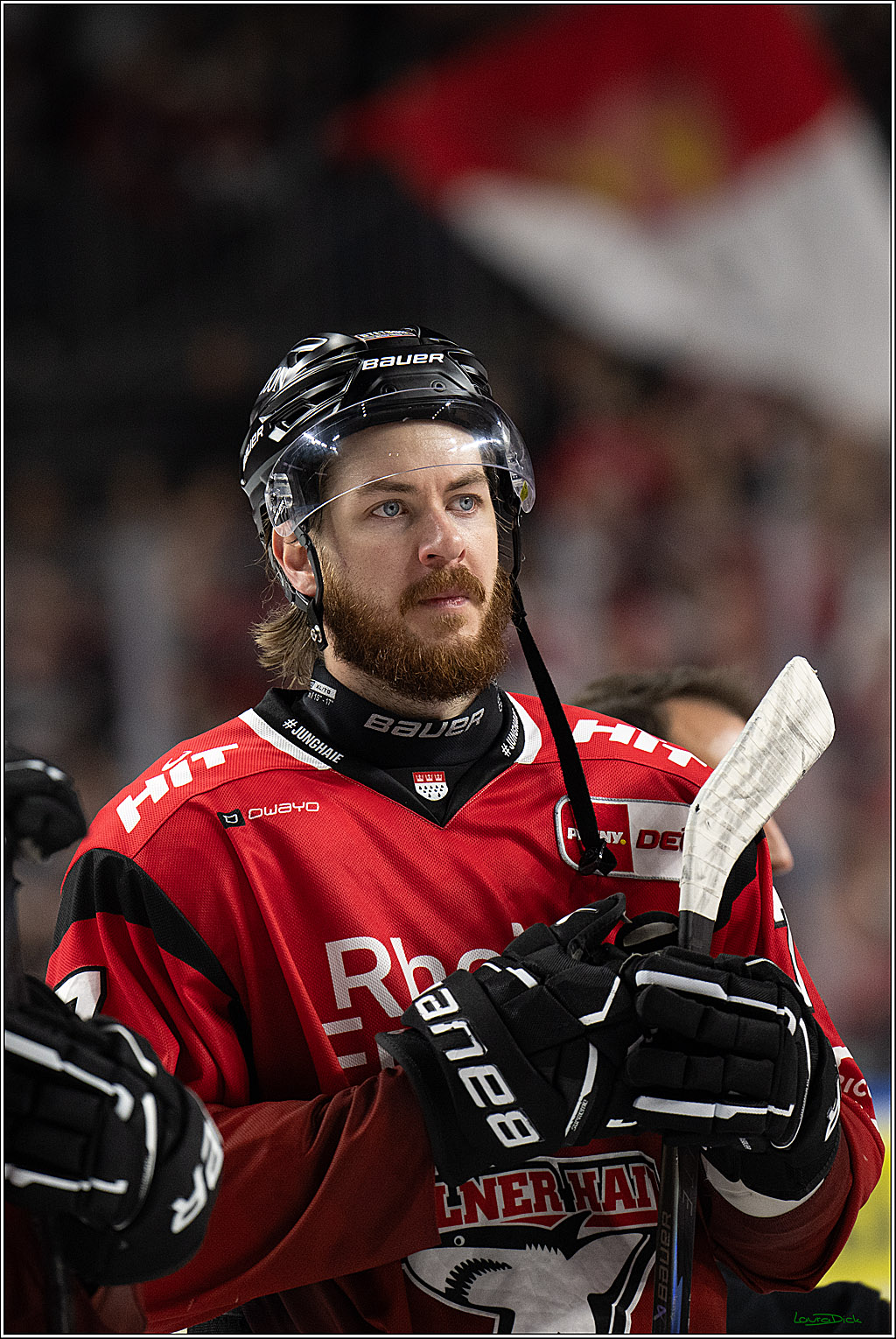 PENNY DEL 1; Koelner Haie - Fischtown Bremerhaven; Koeln, 02.10.2025