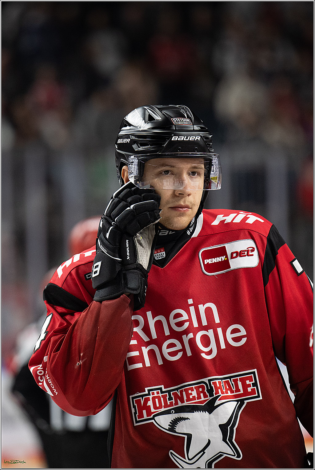 PENNY DEL 1; Koelner Haie - Fischtown Bremerhaven; Koeln, 02.10.2025