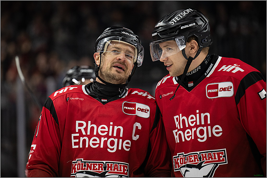 PENNY DEL 1; Koelner Haie - Fischtown Bremerhaven; Koeln, 02.10.2025