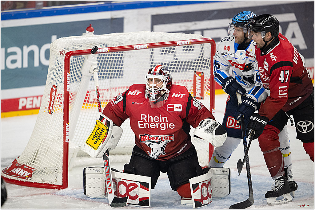 PENNY DEL 1; Kölner Haie - ERC Ingolstadt; Köln, 10.10.2025