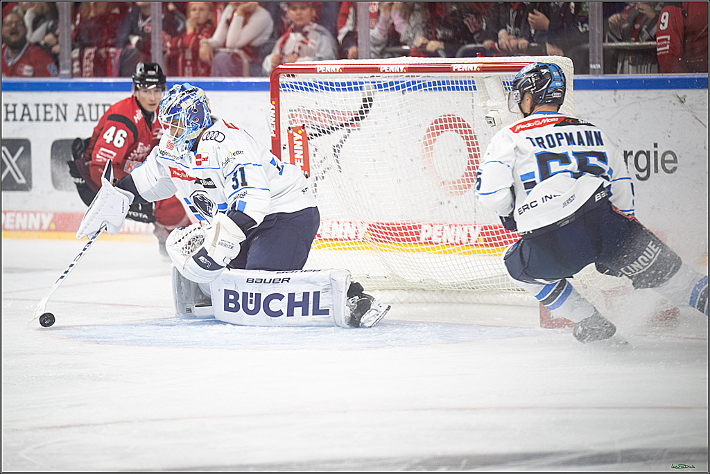 PENNY DEL 1; Koelner Haie - ERC Ingolstadt; Koeln, 10.10.2025