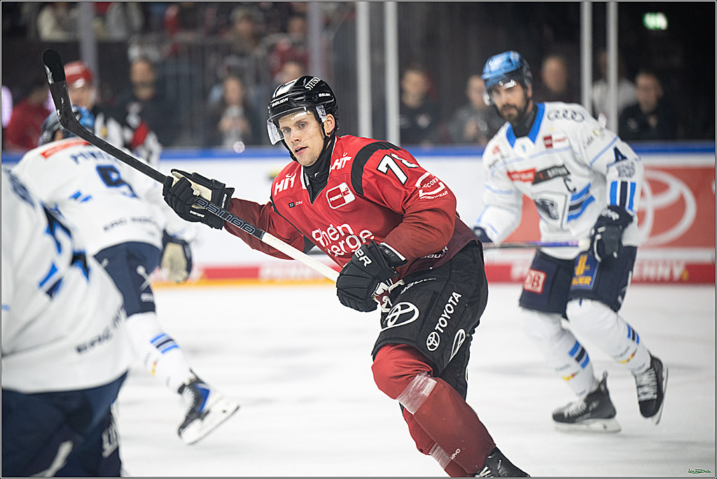 PENNY DEL 1; Koelner Haie - ERC Ingolstadt; Koeln, 10.10.2025