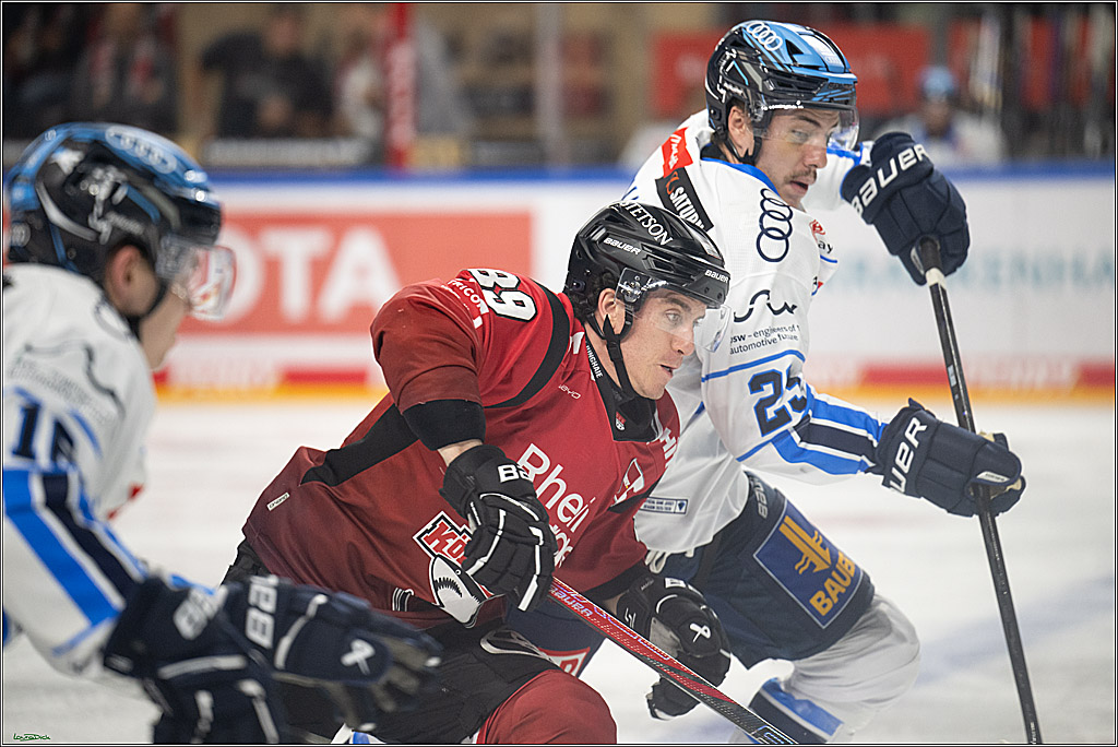 PENNY DEL 1; Koelner Haie - ERC Ingolstadt; Koeln, 10.10.2025
