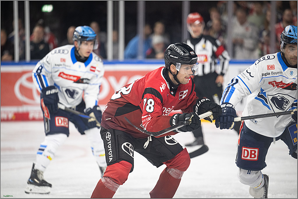 PENNY DEL 1; Koelner Haie - ERC Ingolstadt; Koeln, 10.10.2025