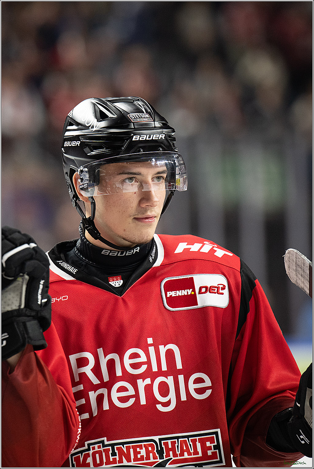 PENNY DEL 1; Koelner Haie - ERC Ingolstadt; Koeln, 10.10.2025