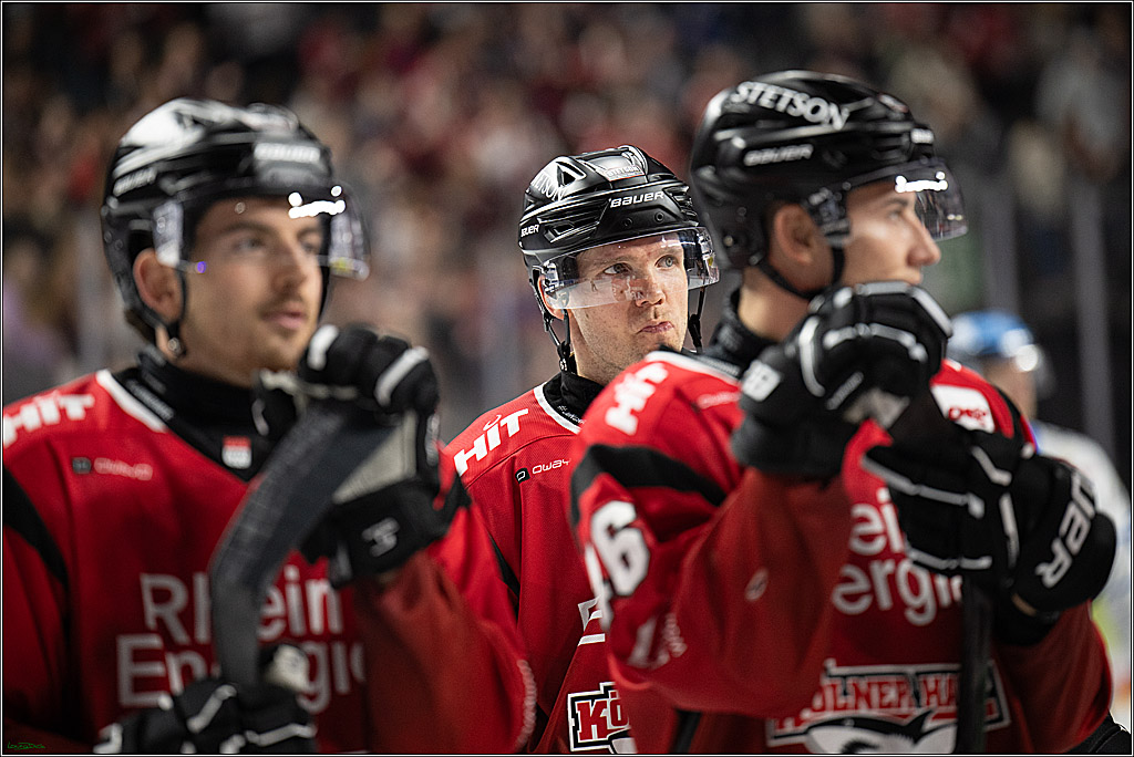 PENNY DEL 1; Koelner Haie - ERC Ingolstadt; Koeln, 10.10.2025