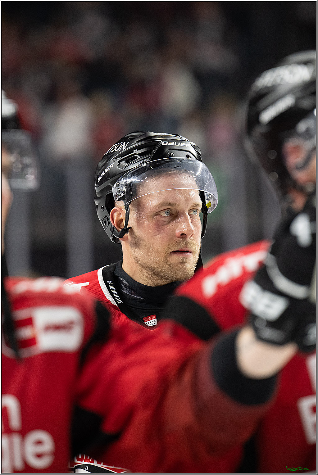 PENNY DEL 1; Koelner Haie - ERC Ingolstadt; Koeln, 10.10.2025