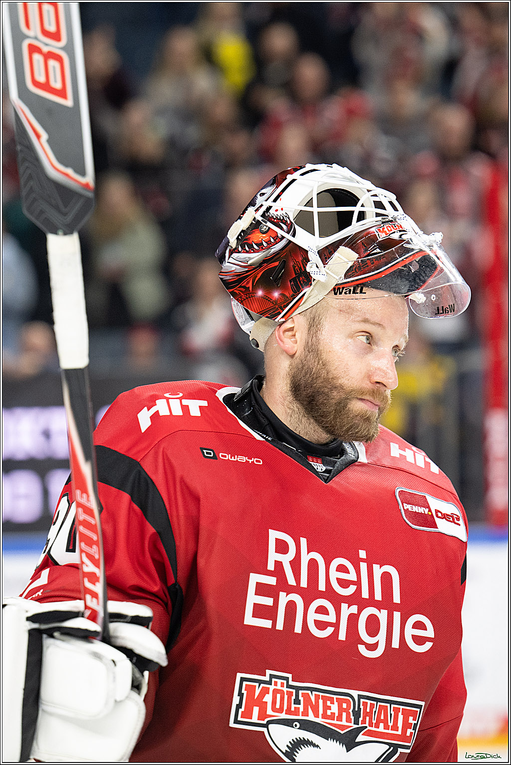 PENNY DEL 1; Koelner Haie - ERC Ingolstadt; Koeln, 10.10.2025