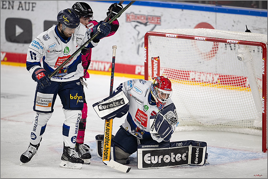 PENNY DEL 1; Kölner Haie - Iserlohn Roosters; Köln, 12.10.2025