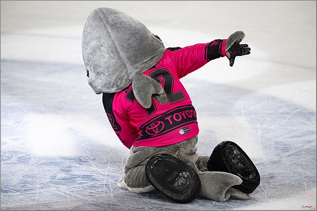 PENNY DEL 1; Kölner Haie - Iserlohn Roosters; Köln, 12.10.2025