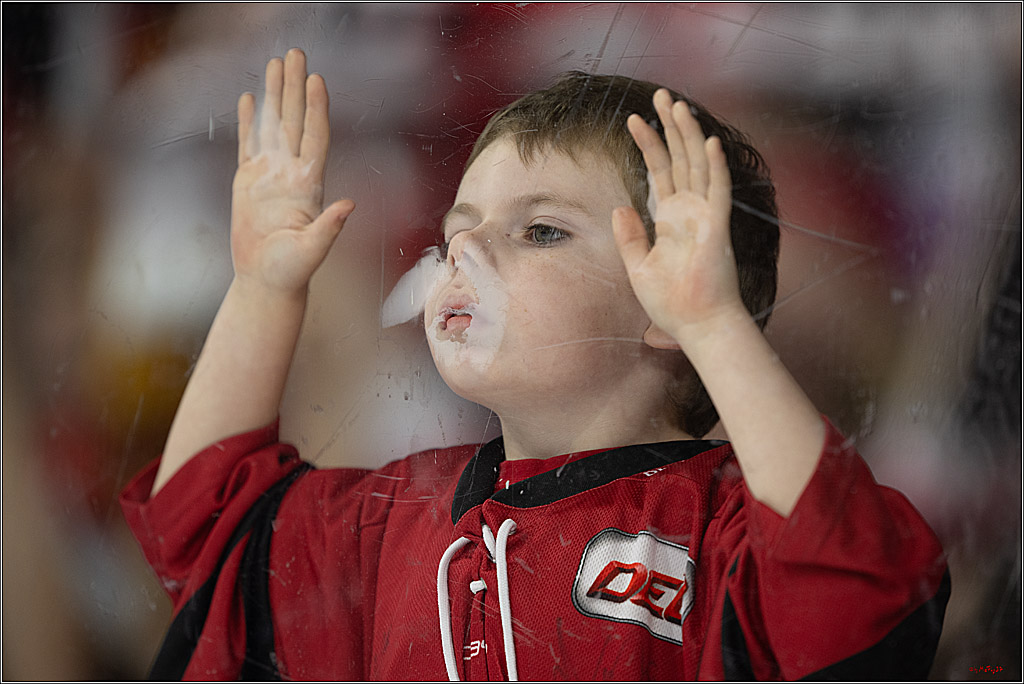 PENNY DEL 1; Kölner Haie - Iserlohn Roosters; Köln, 12.10.2025