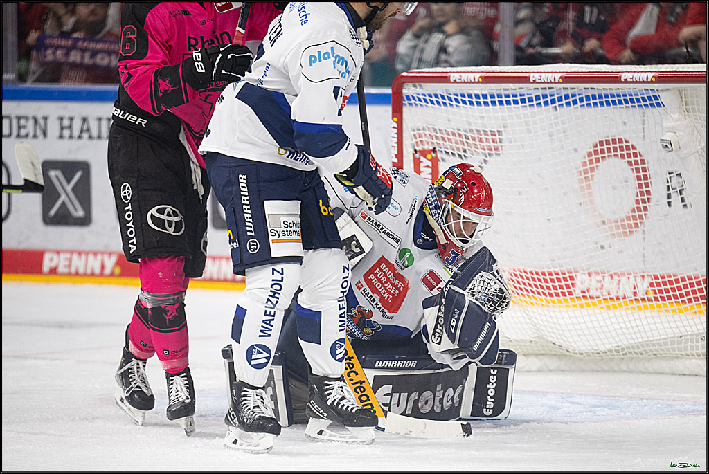 PENNY DEL 1; Koelner Haie - Iserlohn Roosters; Koeln, 12.10.2025