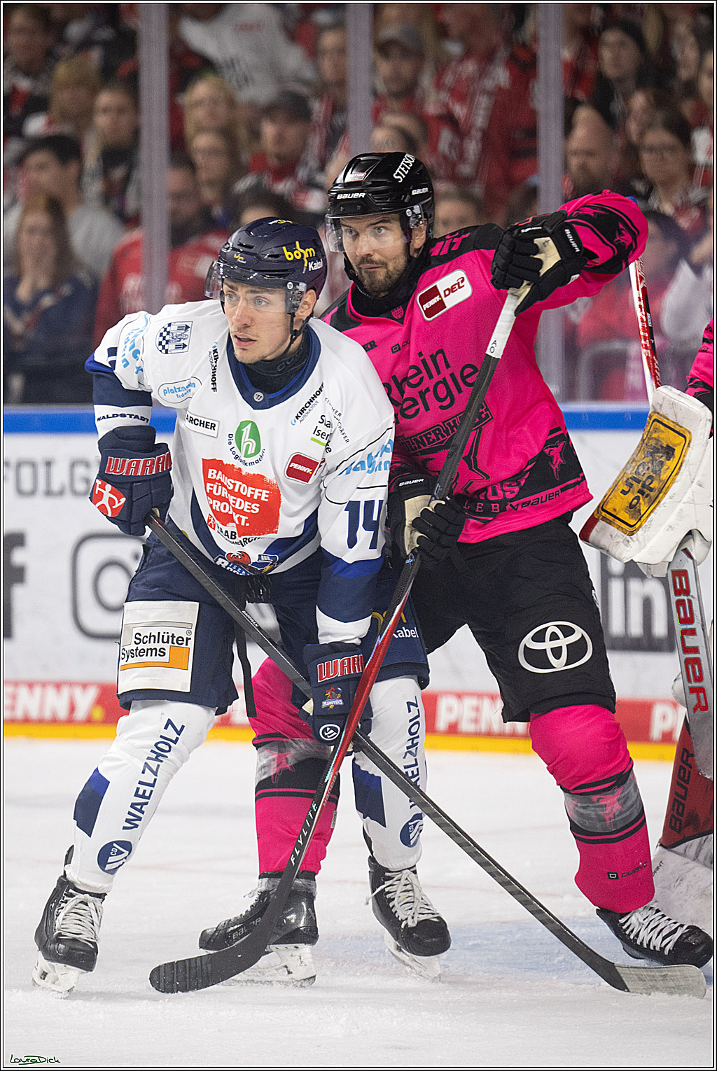 PENNY DEL 1; Koelner Haie - Iserlohn Roosters; Koeln, 12.10.2025